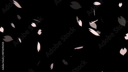 背景透過 桜の花びらが舞い落ちる春のパーティクル動画