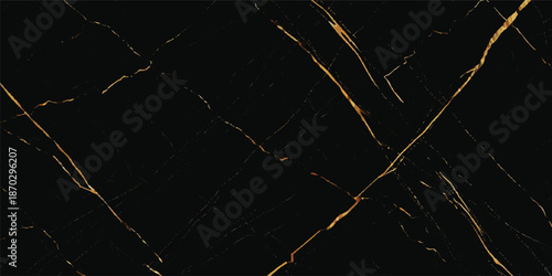 Vintage grunge black and white stars pattern on an aged paper texture backdrop with a dark night sky and nature design