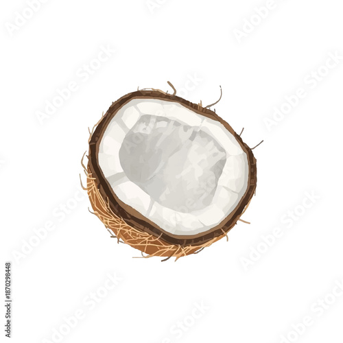 Coconut isolated on white background fresh tropical fruit cracked half shell closeup