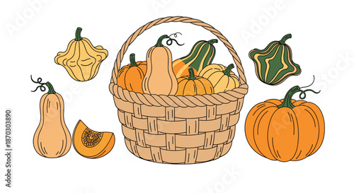 Colorful autumn harvest illustration with a wicker basket full of various pumpkins, gourds, and squash on a white background.