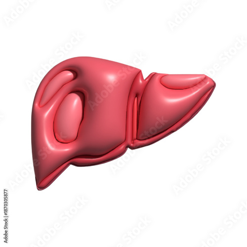 3D Design anatomy of human. Human Organ Anatomy Cartoon.