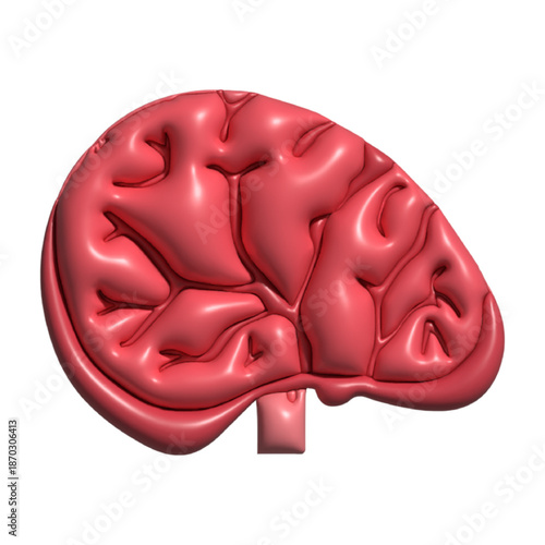 3D Human anatomy collection. Human Organ Anatomy Cartoon.