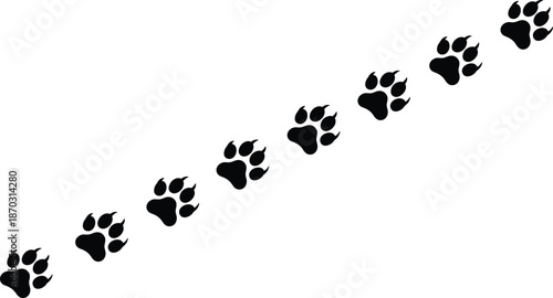 Black animal paw prints trail with sharp claws marks on white background, wildlife predator footsteps path for creative graphic design.