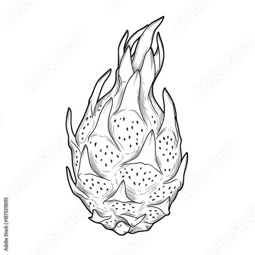 Black and white illustration of dragon fruit with textured skin and scale-like appendages
