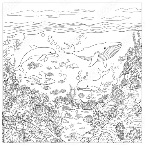 Sea life whales, dolphin, small fishes, and sea plants in their underwater environment