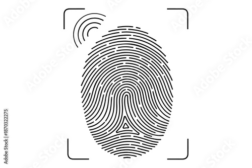 Fingerprint identification and biometric scanning technology for security and personal verification