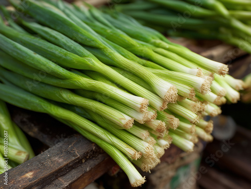 Wallpaper Mural spring onion Torontodigital.ca