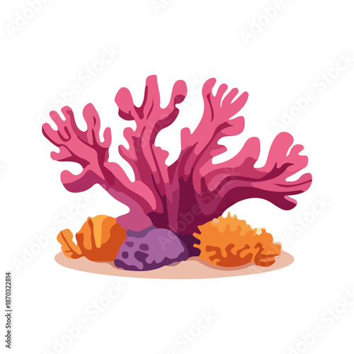 Pink and green seaweed and coral reef