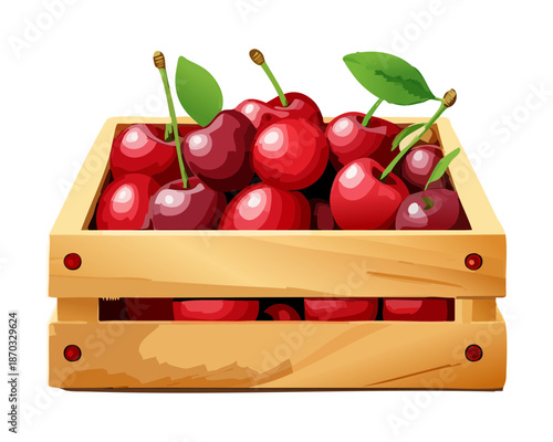 Fresh ripe red cherries in a wooden crate for garden harvest and organic fruit market concept - Vector Illustration
