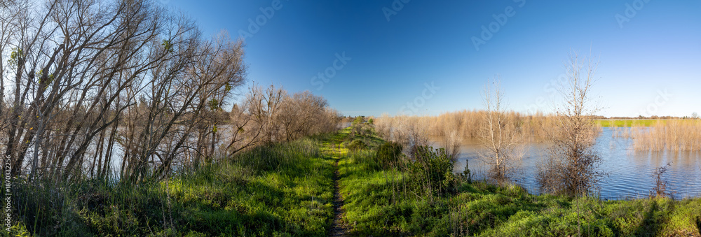 Obraz premium Panorama of a trail on a Sacramento river levee with water on both sides 