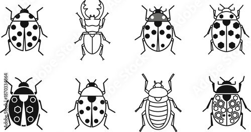 Black and White Beetle and Ladybug Outline Icon Set Simple Insect Vector Illustration Collection