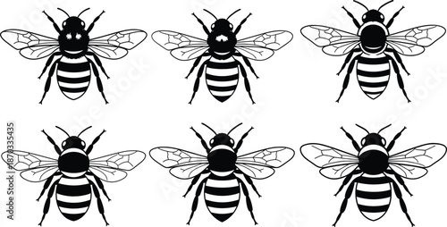 Black and White Bee Silhouette Set in Different Angles Isolated Insect Vector Illustration Collection