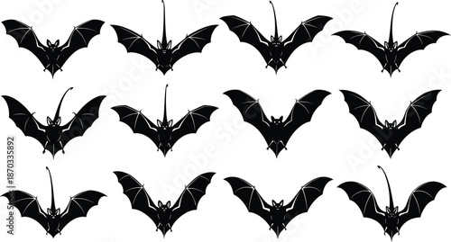 Black Bat Silhouette Set Flying with Spread Wings Isolated Halloween Animal Vector Illustration Collection