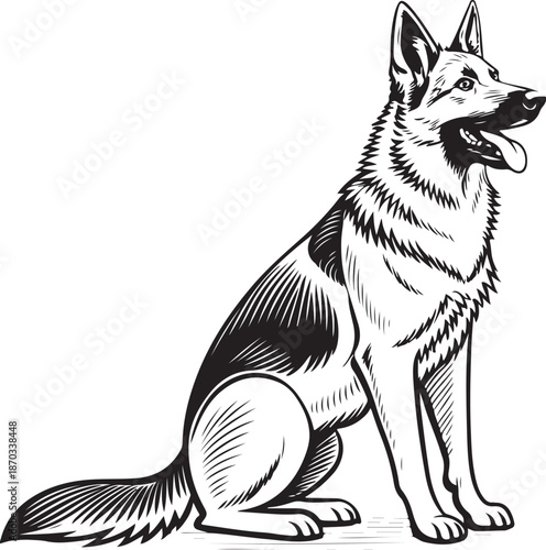 German Shepherd Dog Breed Sitting Hand-drawn Sketch Drawing Vector Illustration, Line Linear Symbol Engraving Coloring Book, Black and White Isolated