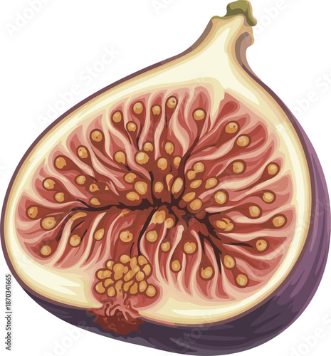Cut fig fruit with seeds and pink flesh