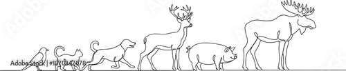 Continuous line animal silhouettes lineup illustration showing wildlife diversity evolution minimal outline art isolated vector design concept