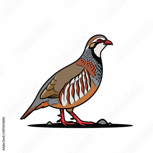 A vibrant bird with brown, grey, and orange feathers standing on rocks