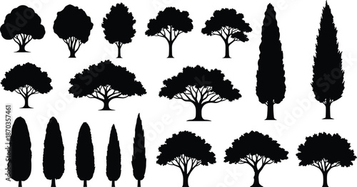 Collection of various tree silhouettes including oak cypress and maple isolated on white background cad drawing flat vector illustration set