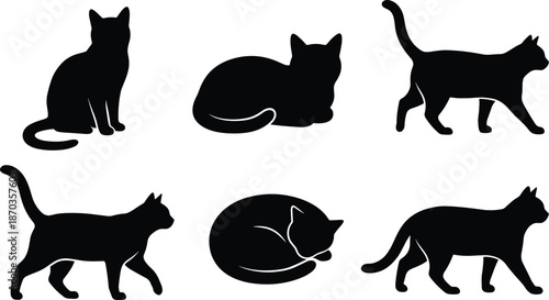 Black cat silhouettes set with sitting sleeping and walking poses, cute feline pet collection, isolated flat vector illustration