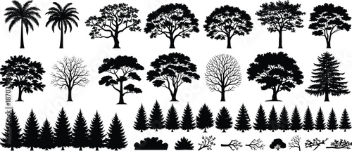Collection of various tree silhouettes including palm pine and oak forest elements isolated on white cad drawing flat vector illustration set
