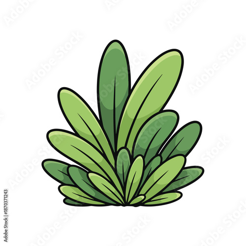A cartoonish green succulent plant with many oval leaves