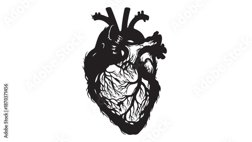 Anatomical Heart: A striking illustration of the human heart, rendered in stark black and white, symbolizing life, love, and the core of human existence. 
