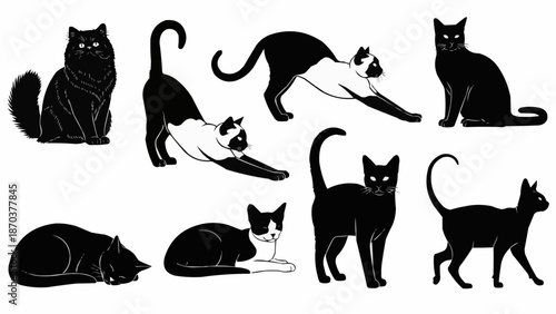Collection of Diverse Cat Silhouettes in Various Poses.