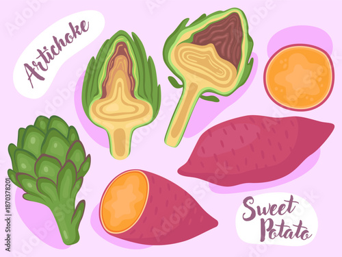 Cute illustrations of sweet potatoes and artichokes, fresh vegetables. Whole green artichoke and half an artichoke, whole and half batata. Illustration for packaging, menu, natural food store.