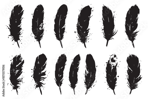 Silhouette grunge black ink feather collection
