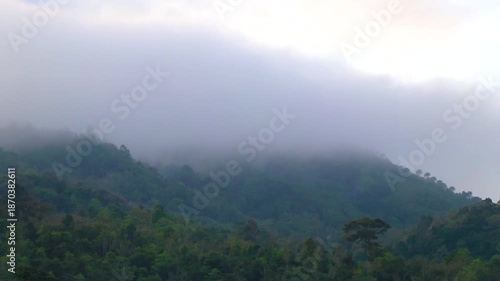 Tropical mountain jungle forest trees plants clouds blue sky Thailand.