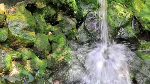 Green river stream in tropical nature with plants flowers Thailand.