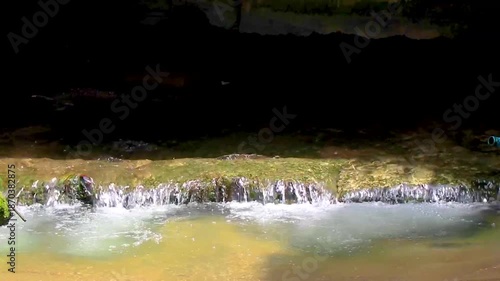 Green river stream in tropical nature with plants flowers Thailand.