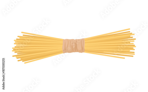 Bundle of spaghetti pasta on white background