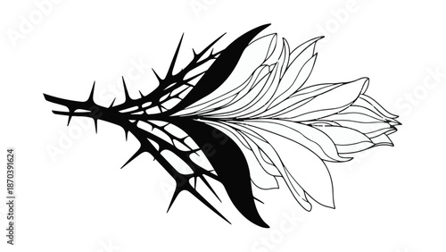 Delicate flower blossoms emerge from a thorny, dark stem, symbolizing contrast and growth.