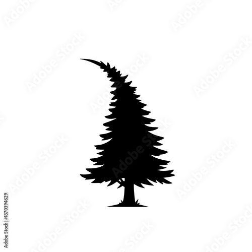 Black silhouette of a bent pine tree