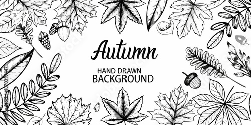 Detailed botanical illustration featuring autumn leaves and hand drawn lettering