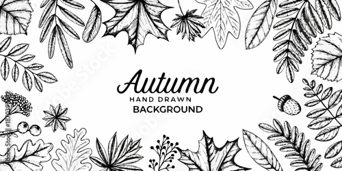 Detailed botanical illustration of autumn leaves and floral elements in monochrome