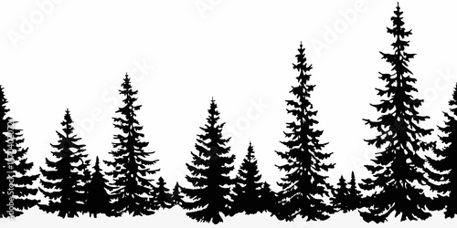 Silhouette of a dense evergreen forest with varying tree heights