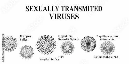 Illustrations of sexually transmitted viruses including herpes hepatitis hiv and cytomegalovirus