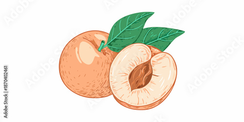 A vibrant illustration of a whole apricot and a halved apricot with a pit