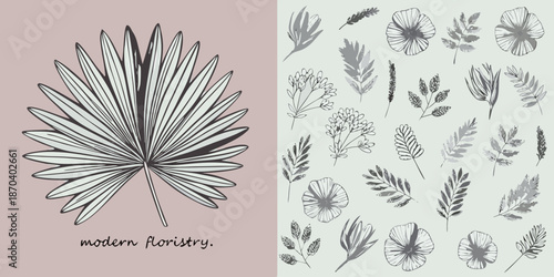 Botanical illustrations with palm leaves and various floral sketches in grayscale