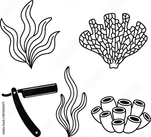 Marine Elements and Razor Line Art Illustration Set