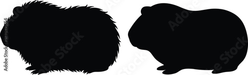 Guinea pig silhouettes fluffy and smooth, cute pet rodents shadow, black animal illustration, isolated on white background design