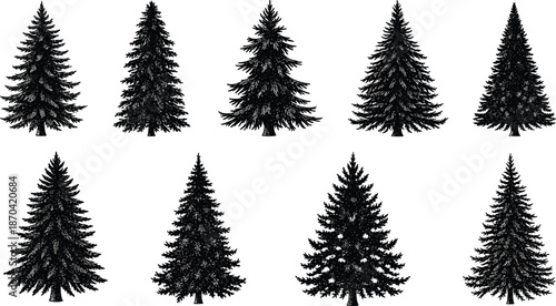 Coniferous tree silhouettes, evergreen pine icons, black vector trees, winter forest design, seasonal nature symbols, holiday decoration, cad drawing flat vector illustration