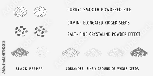 Visual guide to spices cumin coriander pepper and more