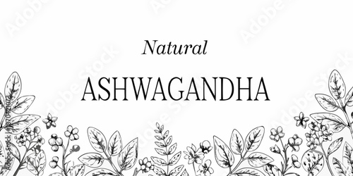 Natural ashwagandha botanical illustration with leaves and floral elements in black and white