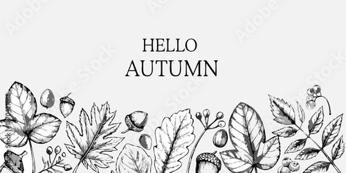 Hello autumn a vintage botanical illustration with leaves and acorns