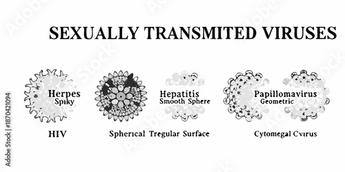 Illustrative depiction of sexually transmitted viruses and their distinct morphological features