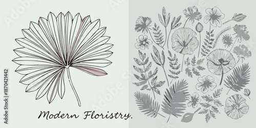 Delicate botanical sketches of floral arrangements and leaves in monochrome tones