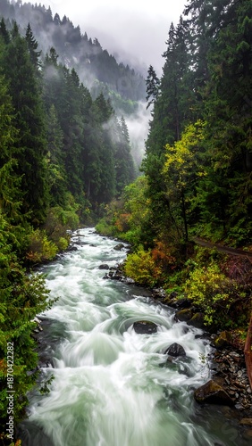 Misty Mountain River Flowing Through Lush Green Forest.